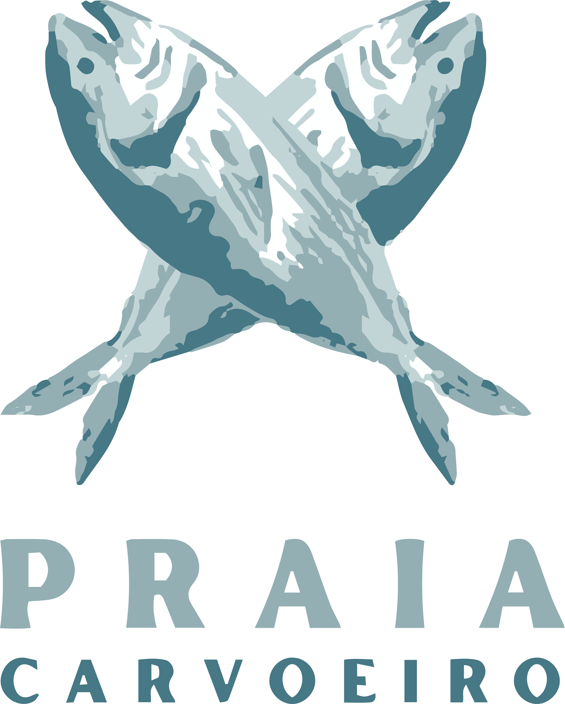 LOGO1_PRAIACARVOEIRO